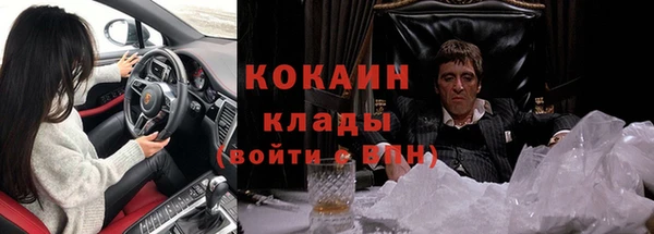 твердый Козловка