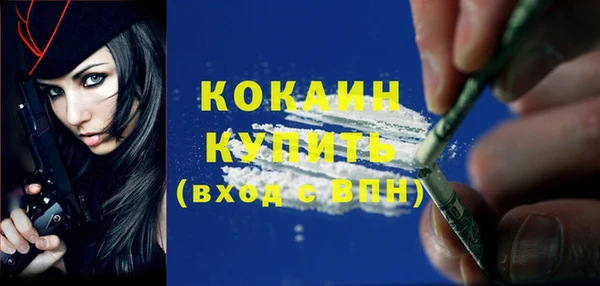 твердый Козловка