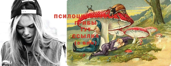 бошки Кодинск