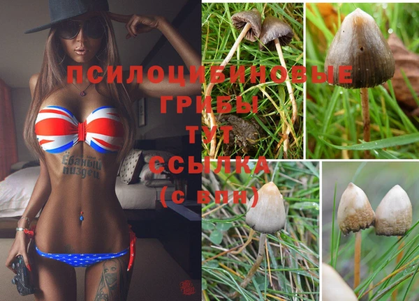 твердый Козловка