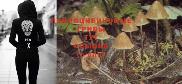 твердый Козловка