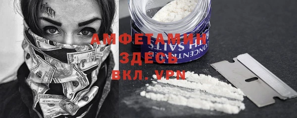 твердый Козловка